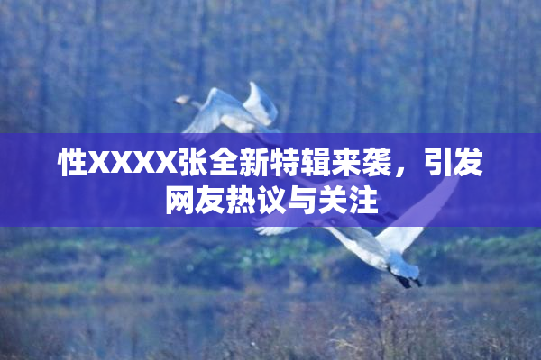 性XXXX张全新特辑来袭，引发网友热议与关注
