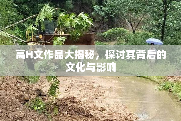 高H文作品大揭秘，探讨其背后的文化与影响