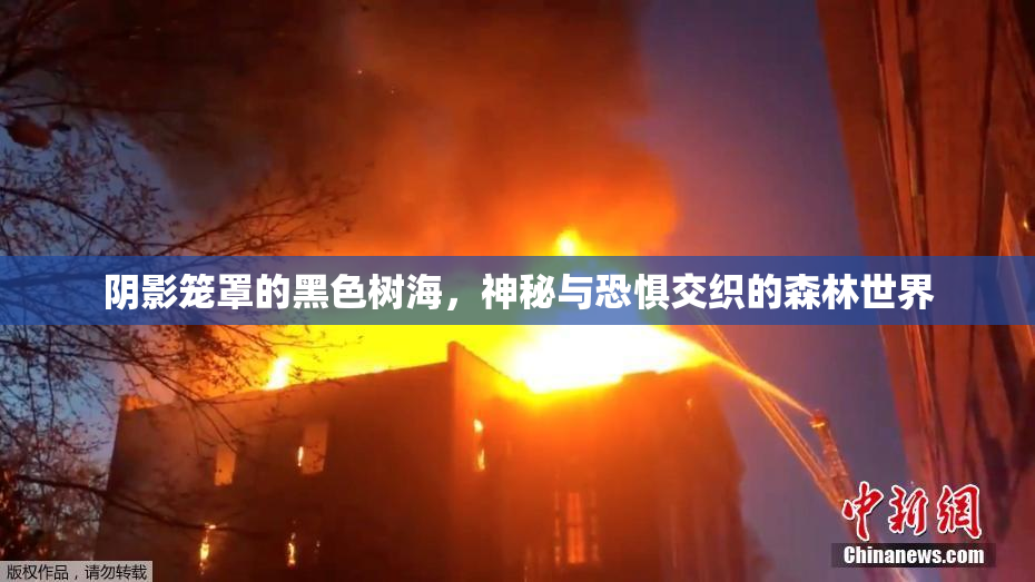 阴影笼罩的黑色树海，神秘与恐惧交织的森林世界