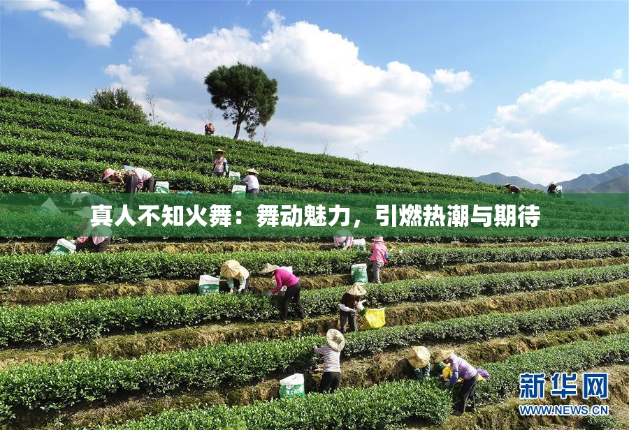 真人不知火舞：舞动魅力，引燃热潮与期待