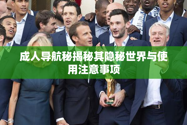 成人导航秘揭秘其隐秘世界与使用注意事项