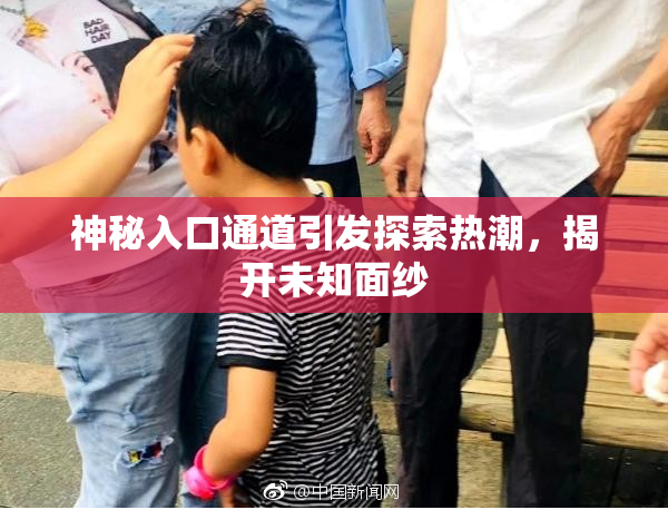 神秘入口通道引发探索热潮，揭开未知面纱