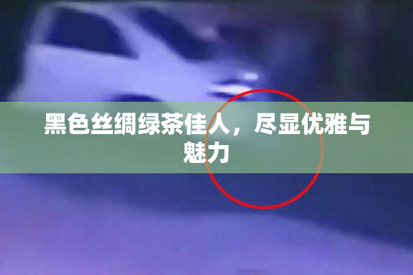 黑色丝绸绿茶佳人，尽显优雅与魅力