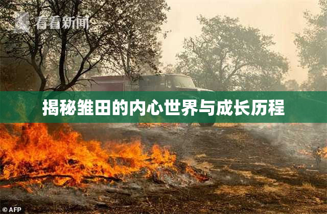 揭秘雏田的内心世界与成长历程