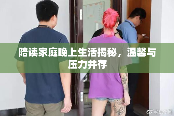陪读家庭晚上生活揭秘，温馨与压力并存