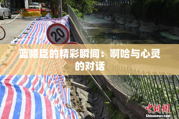 蓝曦臣的精彩瞬间：啊哈与心灵的对话