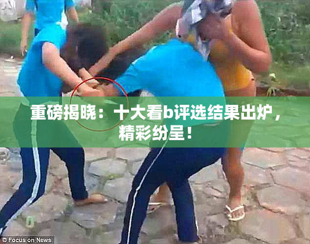 重磅揭晓：十大看b评选结果出炉，精彩纷呈！