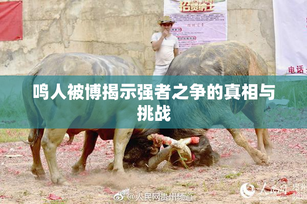 鸣人被博揭示强者之争的真相与挑战