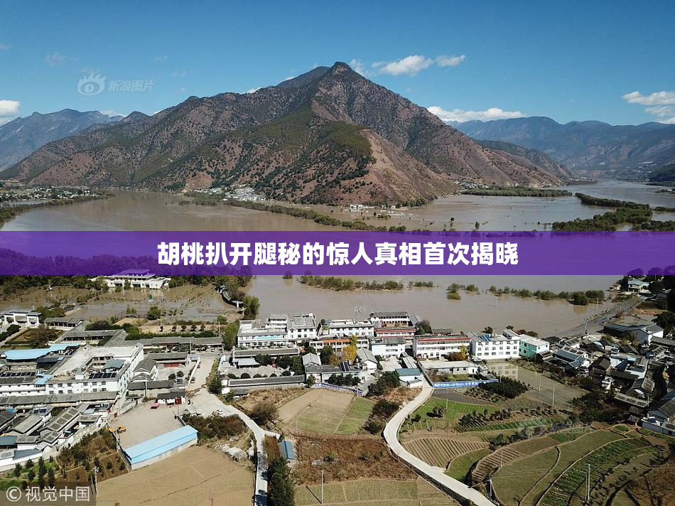 胡桃扒开腿秘的惊人真相首次揭晓