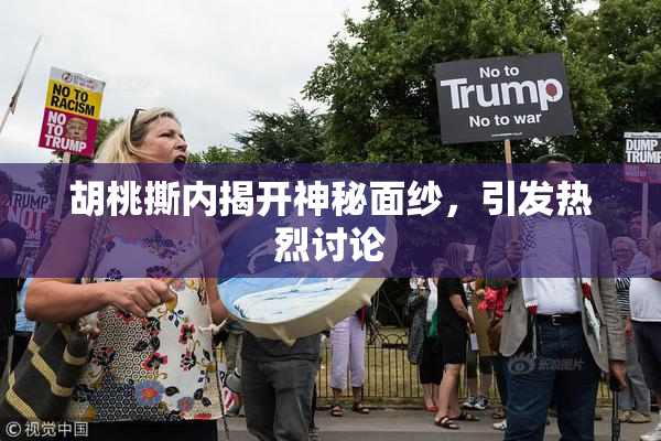 胡桃撕内揭开神秘面纱，引发热烈讨论