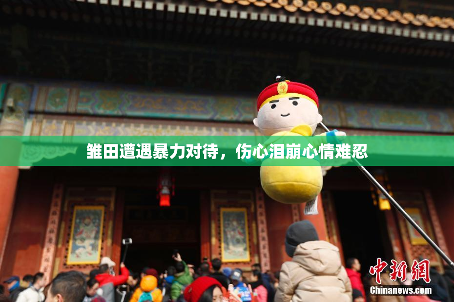 雏田遭遇暴力对待，伤心泪崩心情难忍