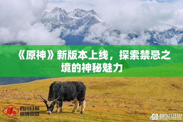 《原神》新版本上线，探索禁忌之境的神秘魅力