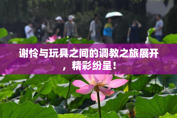 谢怜与玩具之间的调教之旅展开，精彩纷呈！