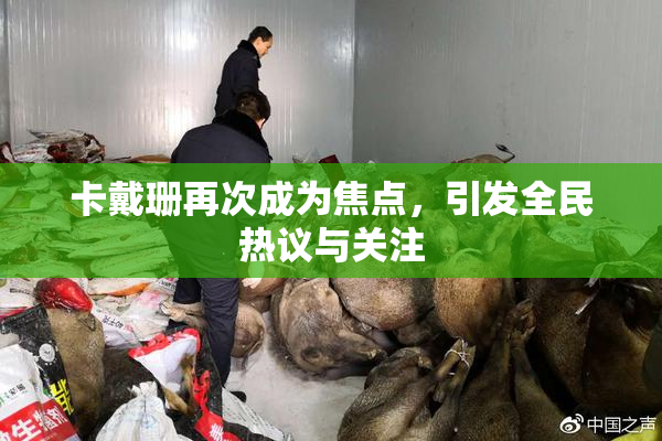 卡戴珊再次成为焦点，引发全民热议与关注