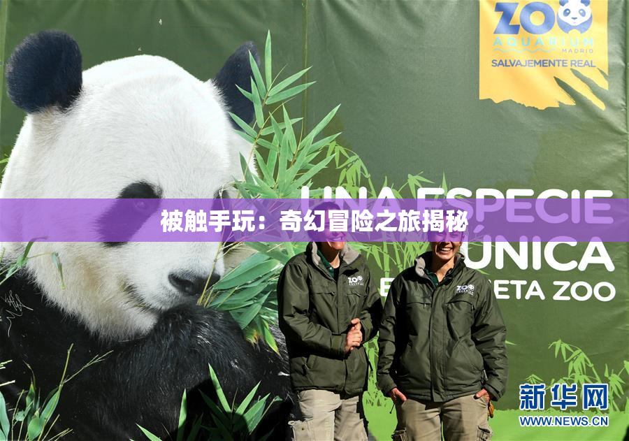 被触手玩：奇幻冒险之旅揭秘