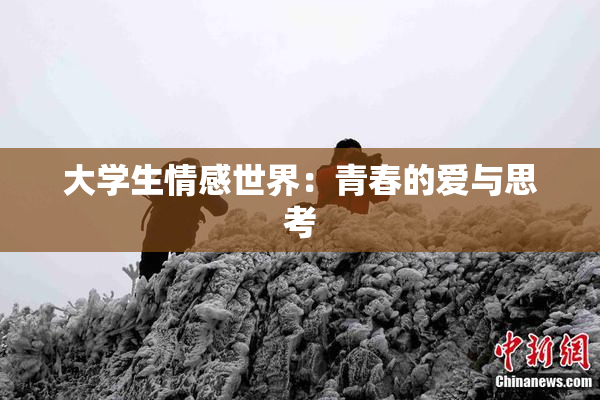 大学生情感世界：青春的爱与思考