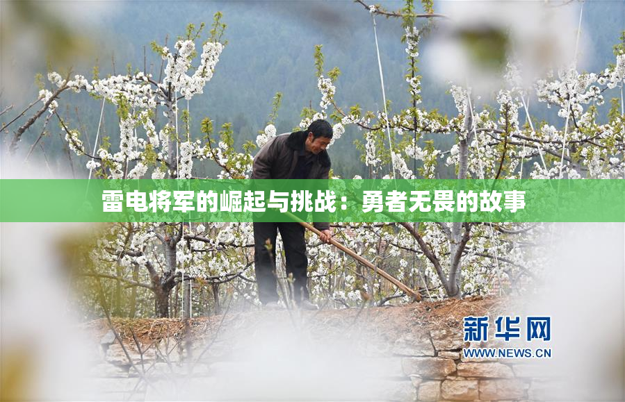 雷电将军的崛起与挑战：勇者无畏的故事