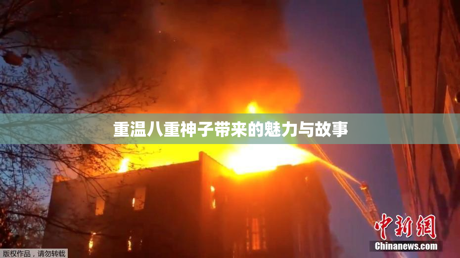 重温八重神子带来的魅力与故事