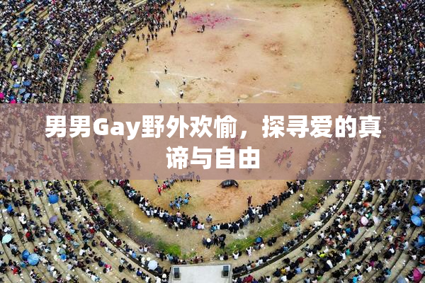 男男Gay野外欢愉，探寻爱的真谛与自由