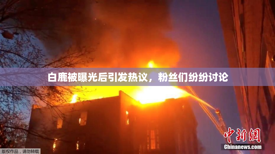 白鹿被曝光后引发热议，粉丝们纷纷讨论