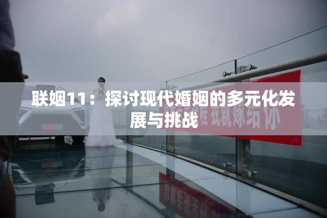 联姻11：探讨现代婚姻的多元化发展与挑战