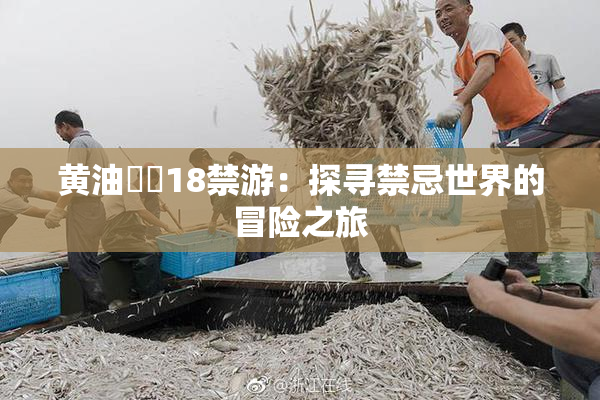 黄油❌‌18禁游：探寻禁忌世界的冒险之旅