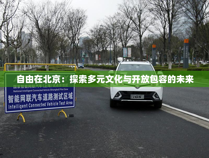 自由在北京：探索多元文化与开放包容的未来