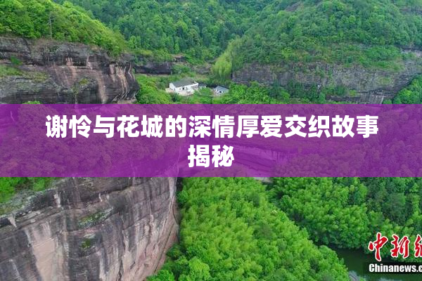 谢怜与花城的深情厚爱交织故事揭秘