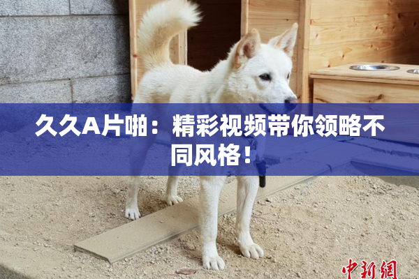 久久A片啪：精彩视频带你领略不同风格！