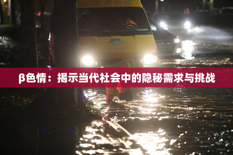 β色情：揭示当代社会中的隐秘需求与挑战