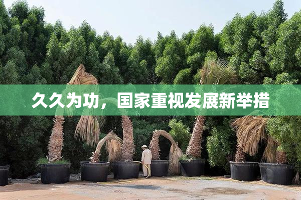 久久为功，国家重视发展新举措