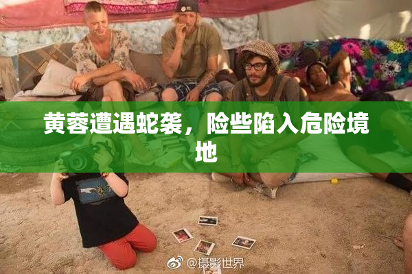 黄蓉遭遇蛇袭，险些陷入危险境地
