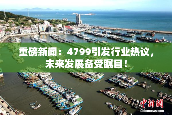 重磅新闻：4799引发行业热议，未来发展备受瞩目！