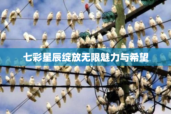 七彩星辰绽放无限魅力与希望