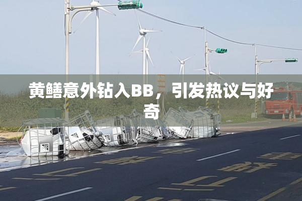 黄鳝意外钻入BB，引发热议与好奇