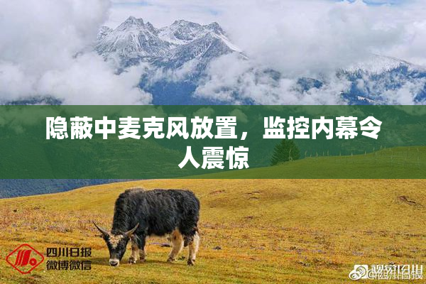 隐蔽中麦克风放置，监控内幕令人震惊