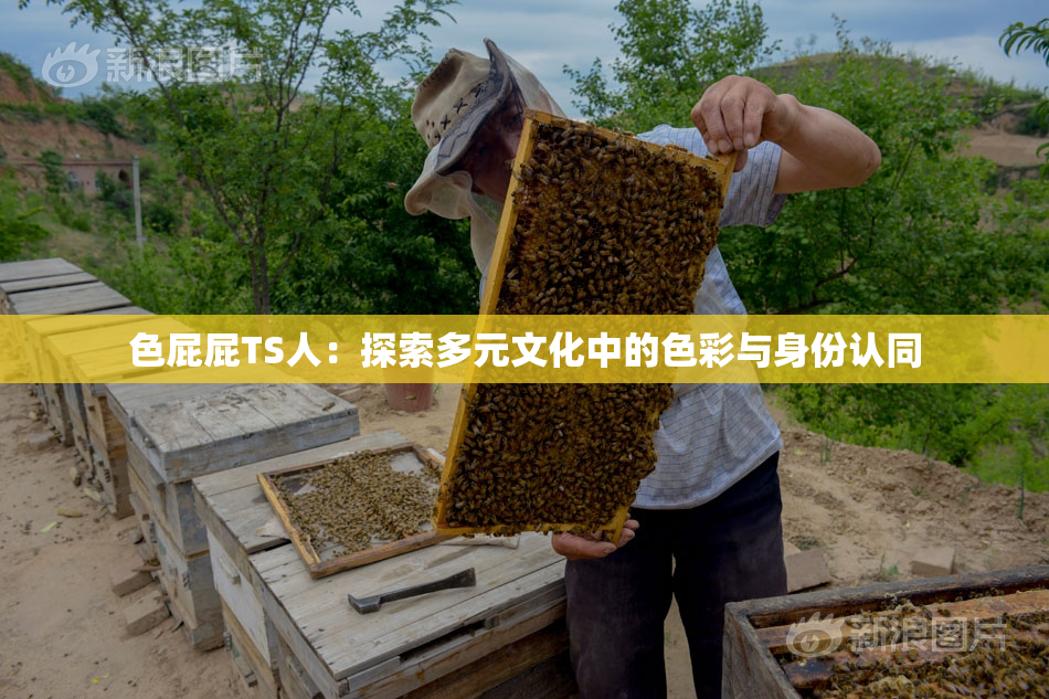 色屁屁TS人：探索多元文化中的色彩与身份认同