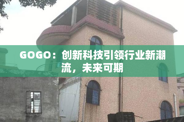 GOGO：创新科技引领行业新潮流，未来可期
