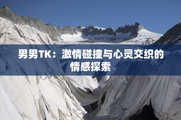 男男TK：激情碰撞与心灵交织的情感探索