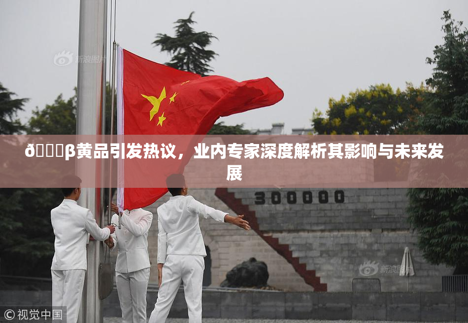 🔞β黄品引发热议，业内专家深度解析其影响与未来发展