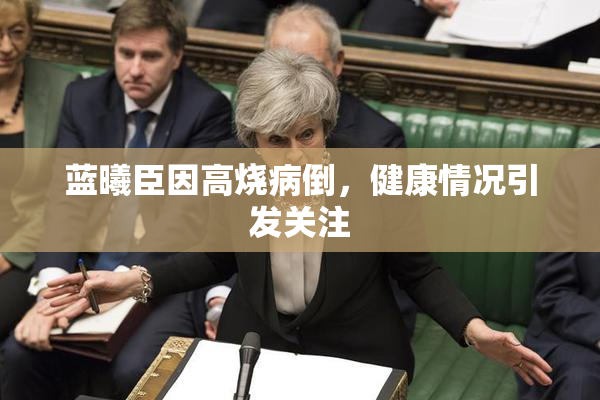 蓝曦臣因高烧病倒，健康情况引发关注