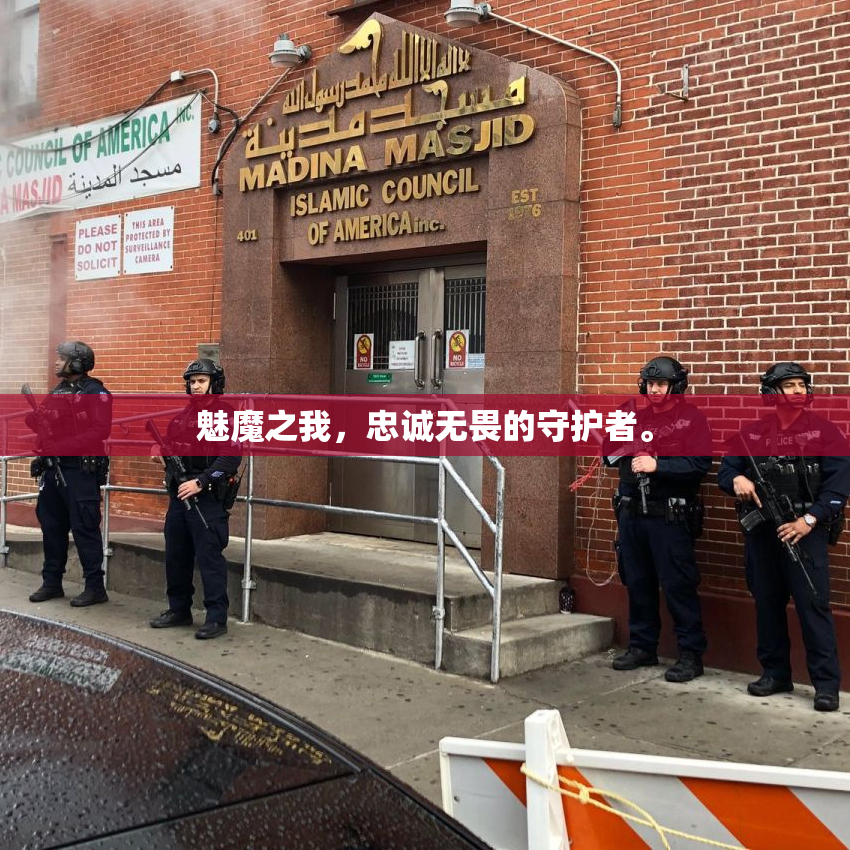 魅魔之我，忠诚无畏的守护者。