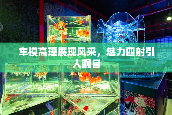 车模高瑶展现风采，魅力四射引人瞩目