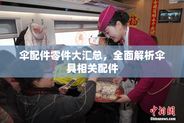 伞配件零件大汇总，全面解析伞具相关配件