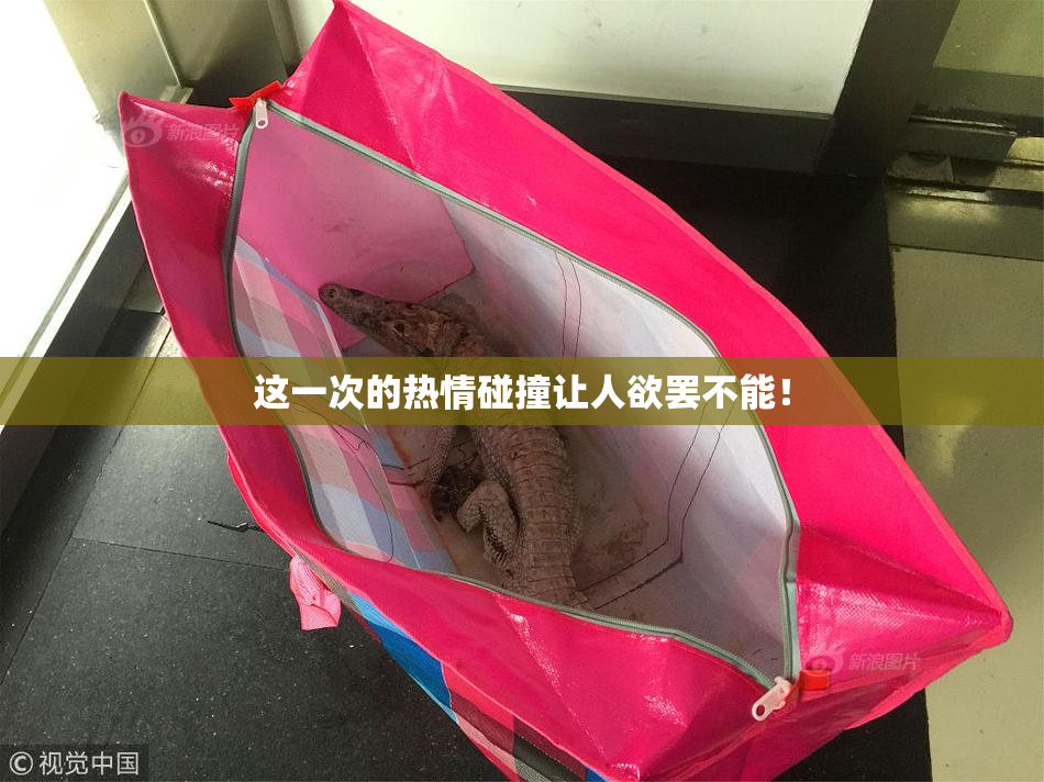 这一次的热情碰撞让人欲罢不能！