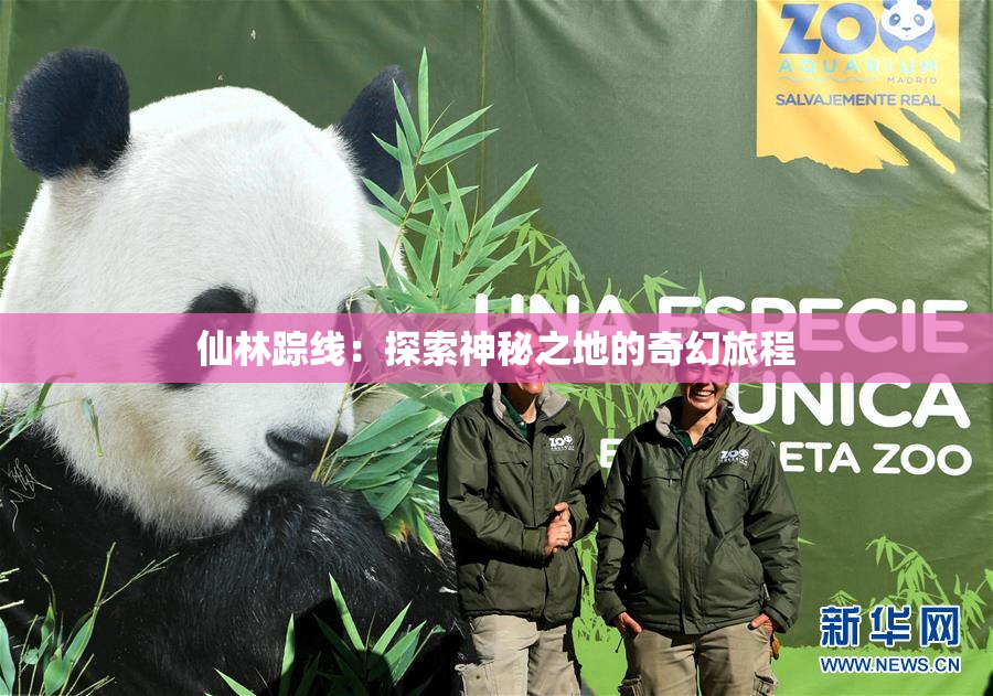 仙林踪线：探索神秘之地的奇幻旅程