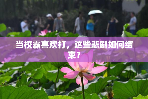 当校霸喜欢打，这些悲剧如何结束？