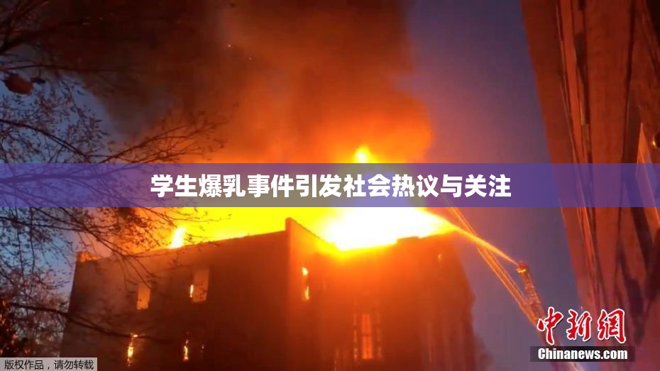 学生爆乳事件引发社会热议与关注