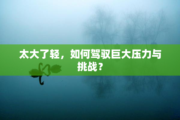 太大了轻，如何驾驭巨大压力与挑战？