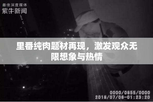 里番纯肉题材再现，激发观众无限想象与热情